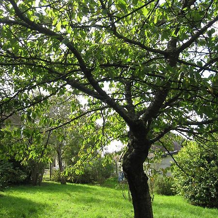 Maison Avec Grand Jardin Pour 15 Couchages En Normandie Cairon Rum bild